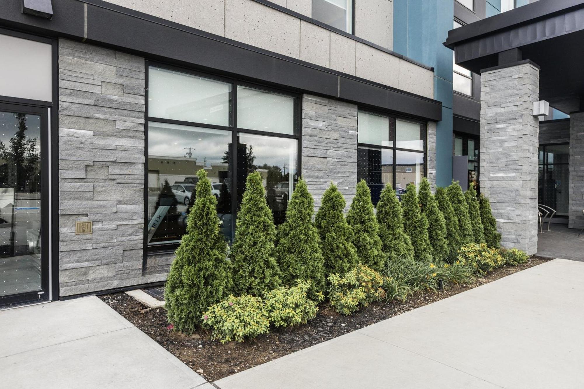Holiday Inn Express & Suites - Toronto Airport South By Ihg Ngoại thất bức ảnh